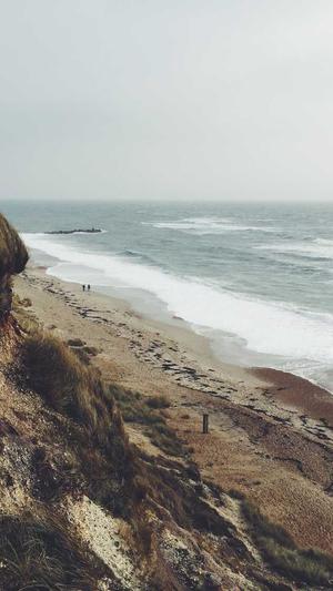 资阳网站建设截图3