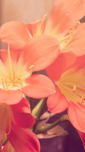 株洲seo优化截图5