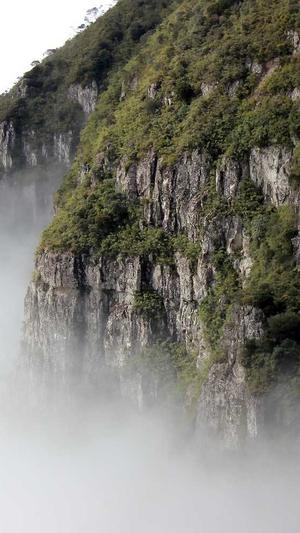 效果不错的蜘蛛池截图3