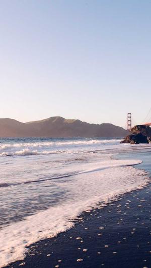 泛目录大流量站群系统截图1