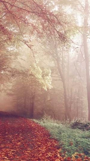 企业网站建设排名截图3