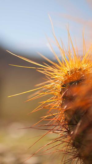 seo网页优化截图3