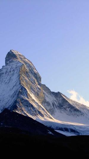 搭建蜘蛛池视频截图5