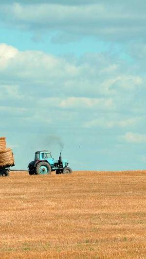 新乡网站建设截图5