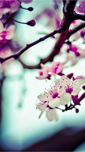 上海seo优化截图4