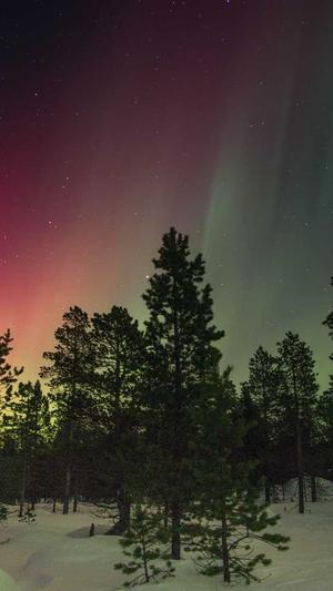 百度蜘蛛池终极版截图4