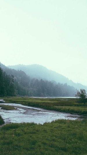 网站建设全包截图1
