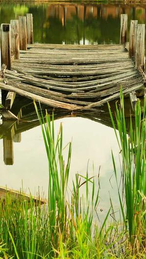 泛目录排版截图2