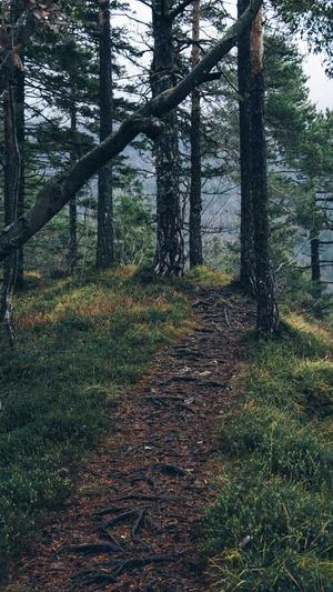 海口市网站建设截图1