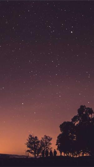 沧州网站建设优化截图1