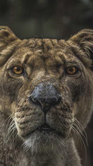 网站建设服务商截图1