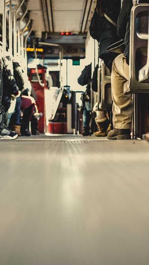 如何制作蜘蛛池视频截图1