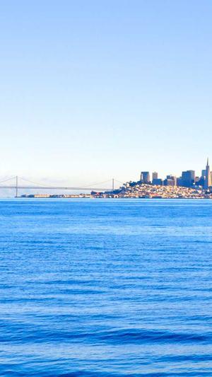 昌平网站建设截图2