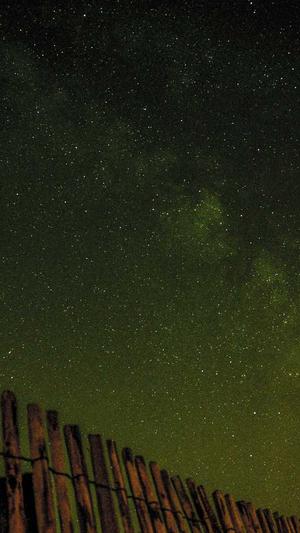 蜘蛛池出租包月找哪家截图4