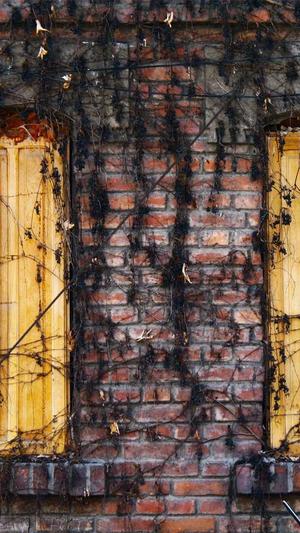 的网站建设截图1