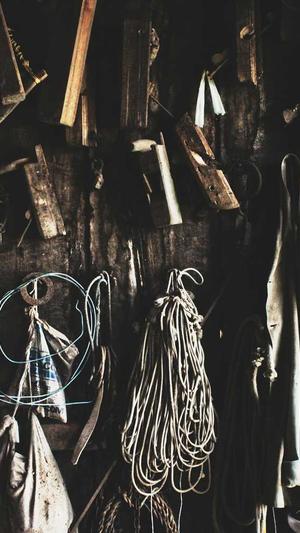 黑帽寄生虫泛目录截图3