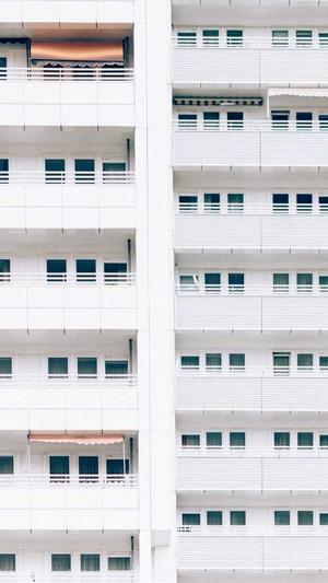 seo查询工具源码截图4