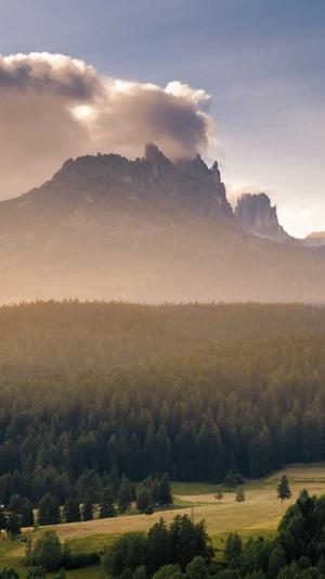 app网站建设截图1