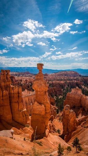 编织网站建设截图1