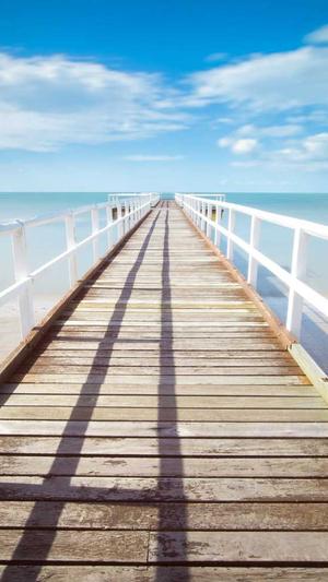 seo 连接测试工具截图3