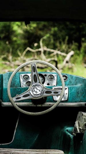 蜘蛛池租用快速推广截图1