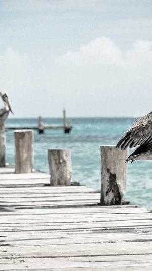 重庆网站建设来沛宣截图5