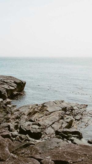 沈阳网站建设截图5