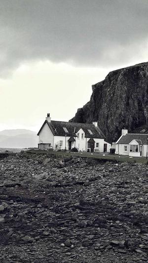 龙华网站建设截图5