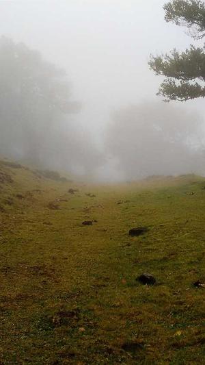 建蜘蛛池需要什么材料截图1