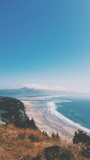 seo关键词优化截图4