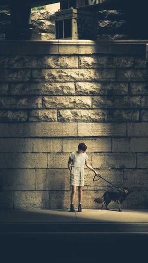 网站建设教程流程截图4