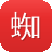 蜘蛛池软件公司